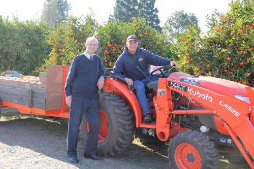 Farming Highland Orchard